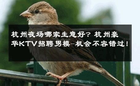 杭州夜场哪家生意好？杭州豪华KTV招聘男模-机会不容错过！ 