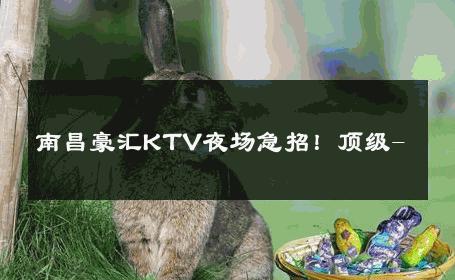 南昌豪汇KTV夜场急招！顶级- 