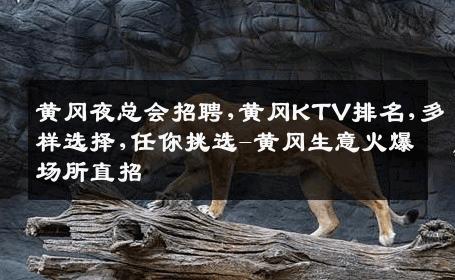 黄冈夜总会招聘,黄冈KTV排名,多样选择,任你挑选-黄冈生意火爆场所直招