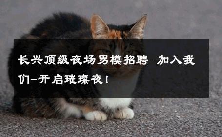 长兴顶级夜场男模招聘-加入我们-开启璀璨夜！ 