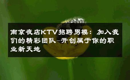 南京夜店KTV招聘男模：加入我们的精彩团队-开创属于你的职业新天地 