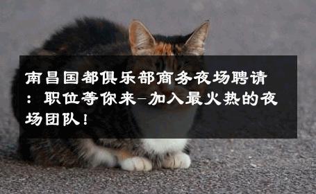 南昌国都俱乐部商务夜场聘请：职位等你来-加入最火热的夜场团队！ 
