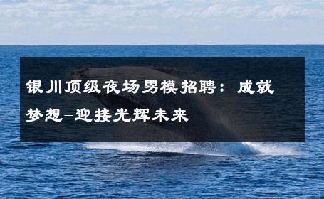 银川顶级夜场男模招聘：成就梦想-迎接光辉未来 