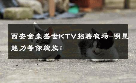 西安金豪盛世KTV招聘夜场-明星魅力等你绽放！ 