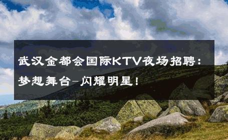 武汉金都会国际KTV夜场招聘：梦想舞台-闪耀明星！ 