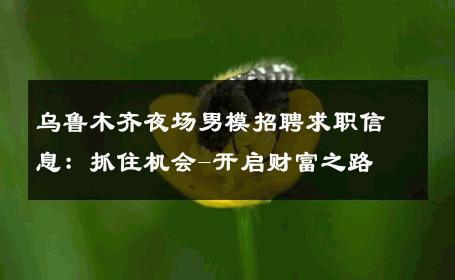 乌鲁木齐夜场男模招聘求职信息：抓住机会-开启财富之路 