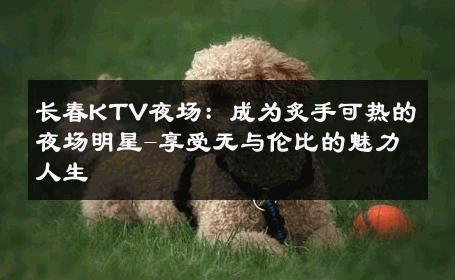 长春KTV夜场：成为炙手可热的夜场明星-享受无与伦比的魅力人生 