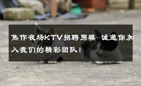焦作夜场KTV招聘男模-诚邀你加入我们的精彩团队！ 