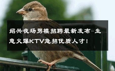 绍兴夜场男模招聘最新发布-生意火爆KTV急招优质人才！ 