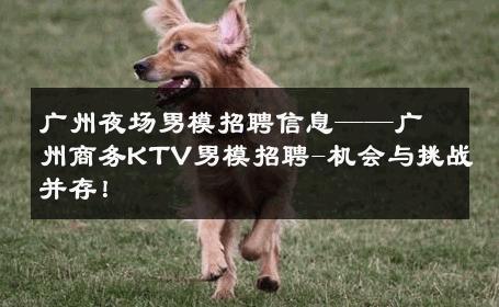 广州夜场男模招聘信息——广州商务KTV男模招聘-机会与挑战并存！ 