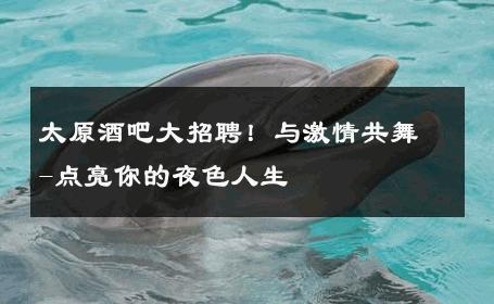 太原酒吧大招聘！与激情共舞-点亮你的夜色人生 