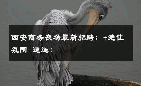 西安商务夜场最新招聘：+绝佳氛围-速递！ 