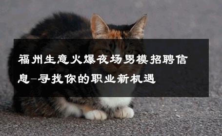 福州生意火爆夜场男模招聘信息-寻找你的职业新机遇 
