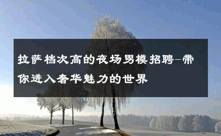 拉萨档次高的夜场男模招聘-带你进入奢华魅力的世界 