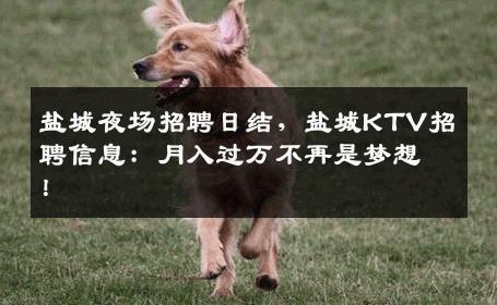 盐城夜场招聘日结，盐城KTV招聘信息：月入过万不再是梦想！
