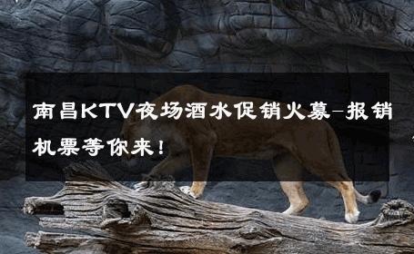 南昌KTV夜场酒水促销火募-报销机票等你来！ 