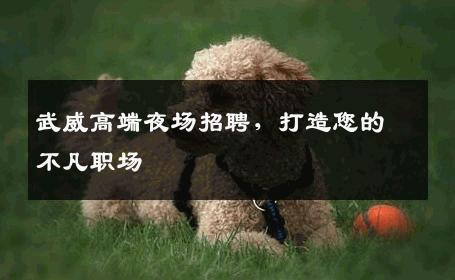 武威高端夜场招聘，打造您的不凡职场