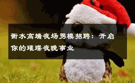 衡水高端夜场男模招聘：开启你的璀璨夜晚事业 