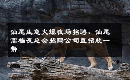 汕尾生意火爆夜场招聘，汕尾高档夜总会招聘公司直招统一带