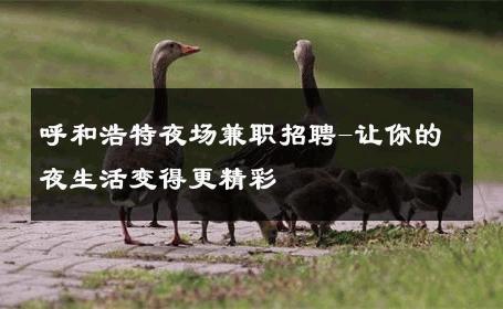 呼和浩特夜场兼职招聘-让你的夜生活变得更精彩 