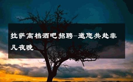 拉萨高档酒吧招聘-邀您共赴非凡夜晚 