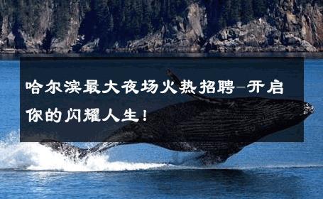 哈尔滨最大夜场火热招聘-开启你的闪耀人生！ 