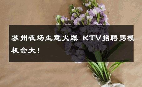 苏州夜场生意火爆-KTV招聘男模机会大！ 