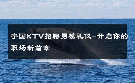 宁国KTV招聘男模礼仪-开启你的职场新篇章 
