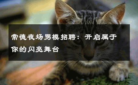 常德夜场男模招聘：开启属于你的闪亮舞台 