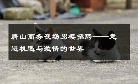 唐山商务夜场男模招聘——走进机遇与激情的世界 