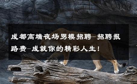 成都高端夜场男模招聘-招聘报路费-成就你的精彩人生！ 