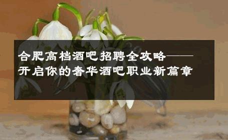 合肥高档酒吧招聘全攻略——开启你的奢华酒吧职业新篇章 