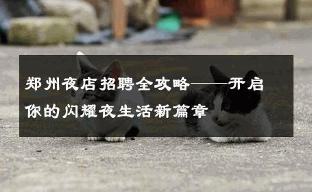 郑州夜店招聘全攻略——开启你的闪耀夜生活新篇章 