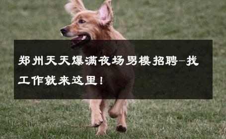 郑州天天爆满夜场男模招聘-找工作就来这里！ 