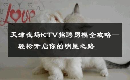 天津夜场KTV招聘男模全攻略——轻松开启你的明星之路 
