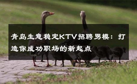 青岛生意稳定KTV招聘男模：打造你成功职场的新起点 
