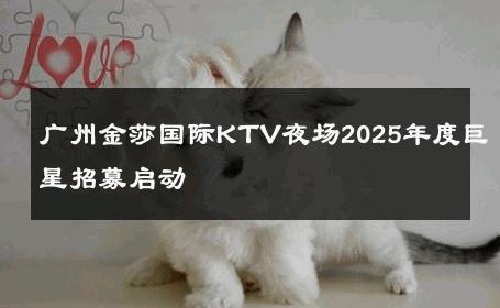 广州金莎国际KTV夜场2025年度巨星招募启动 