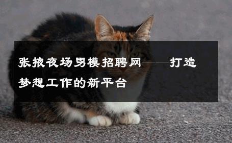 张掖夜场男模招聘网——打造梦想工作的新平台 