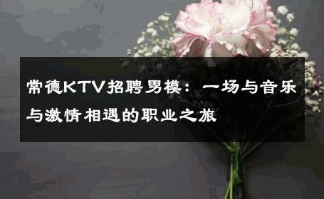 常德KTV招聘男模：一场与音乐与激情相遇的职业之旅 