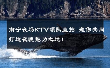 南宁夜场KTV领队直招-邀你共同打造夜晚魅力之地！ 