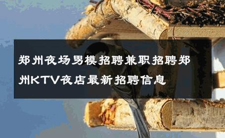 郑州夜场男模招聘兼职招聘郑州KTV夜店最新招聘信息 