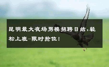 昆明最大夜场男模招聘日结,轻松上班-限时抢位！ 