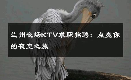 兰州夜场KTV求职招聘：点亮你的夜空之旅 