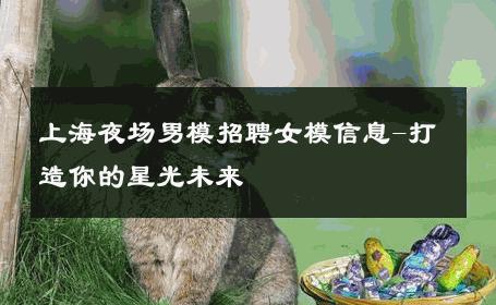 上海夜场男模招聘女模信息-打造你的星光未来 