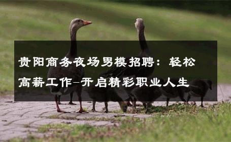 贵阳商务夜场男模招聘：轻松高薪工作-开启精彩职业人生 