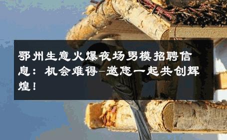 鄂州生意火爆夜场男模招聘信息：机会难得-邀您一起共创辉煌！ 