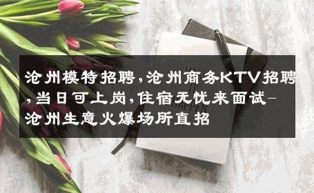 沧州模特招聘,沧州商务KTV招聘,当日可上岗,住宿无忧来面试-沧州生意火爆场所直招