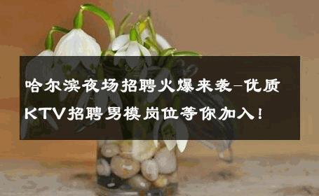 哈尔滨夜场招聘火爆来袭-优质KTV招聘男模岗位等你加入！ 
