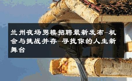 兰州夜场男模招聘最新发布-机会与挑战并存-寻找你的人生新舞台 