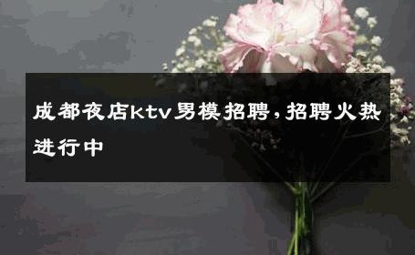 成都夜店ktv男模招聘,招聘火热进行中 